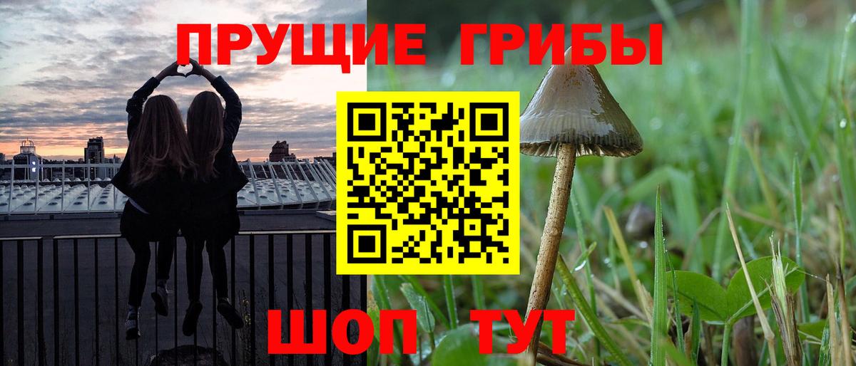 Псилоцибиновые грибы MAGIC MUSHROOMS  Вход с VPN  купить наркотик  Аша 